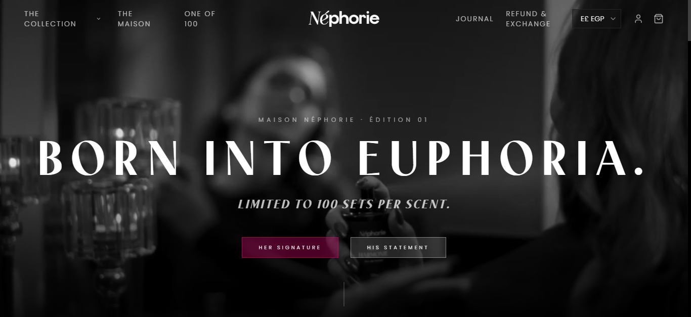 Néphorie slide 2