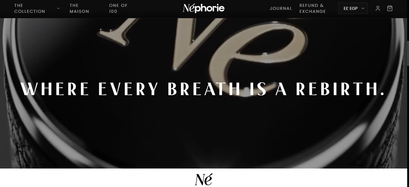 Néphorie slide 4
